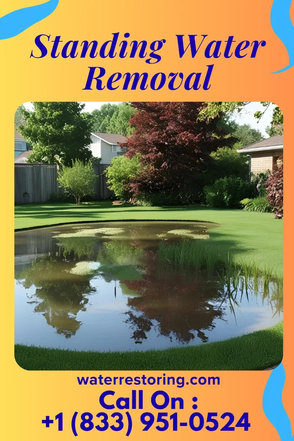 Standing Water Removal in Niobrara, NE